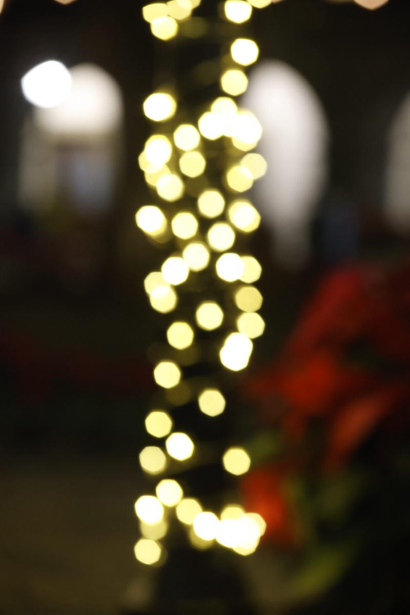 bokeh vol 3 – muestra 81