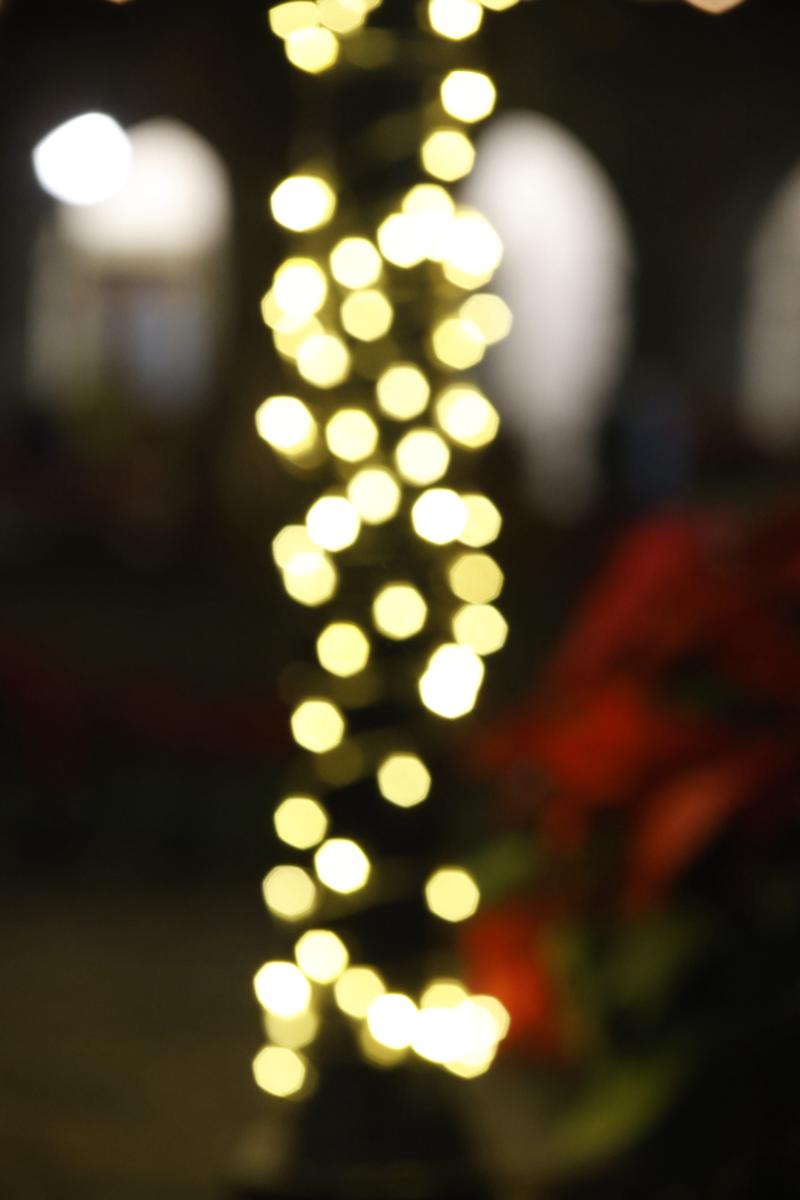 bokeh vol 3 – muestra 82