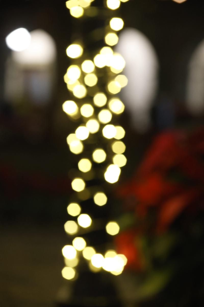 bokeh vol 3 – muestra 83