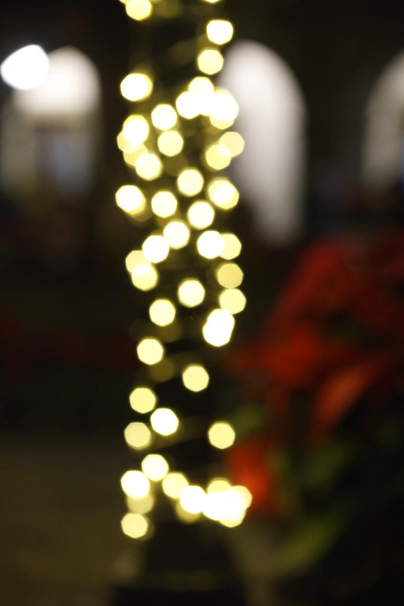 bokeh vol 3 – muestra 87