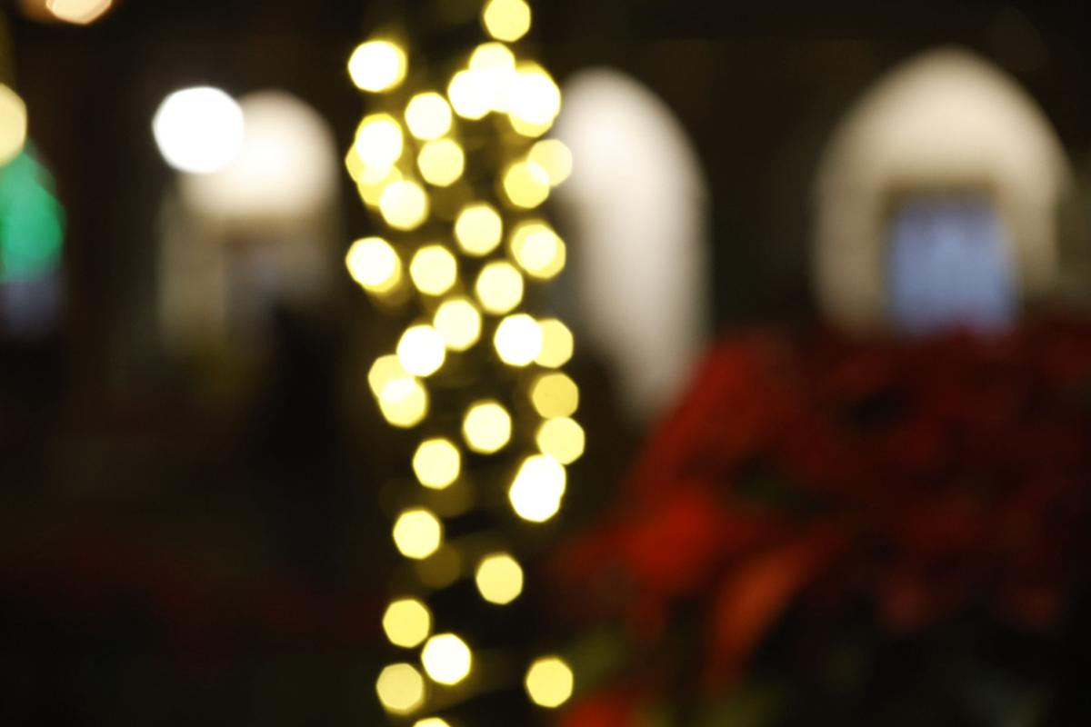 bokeh vol 3 – muestra 88