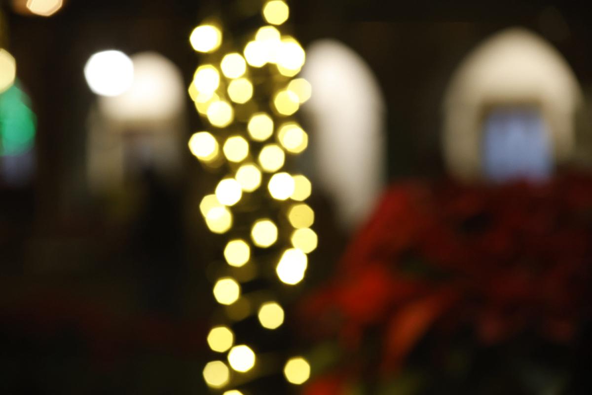 bokeh vol 3 – muestra 90