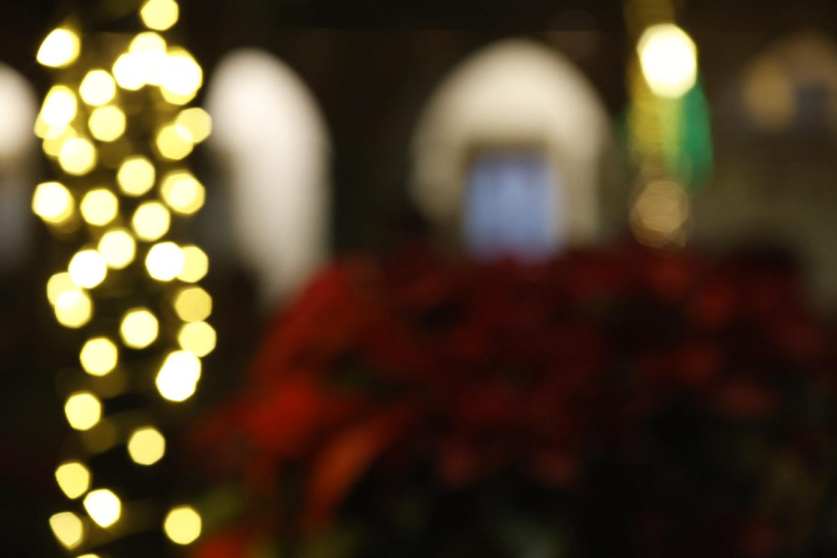 bokeh vol 3 – muestra 92