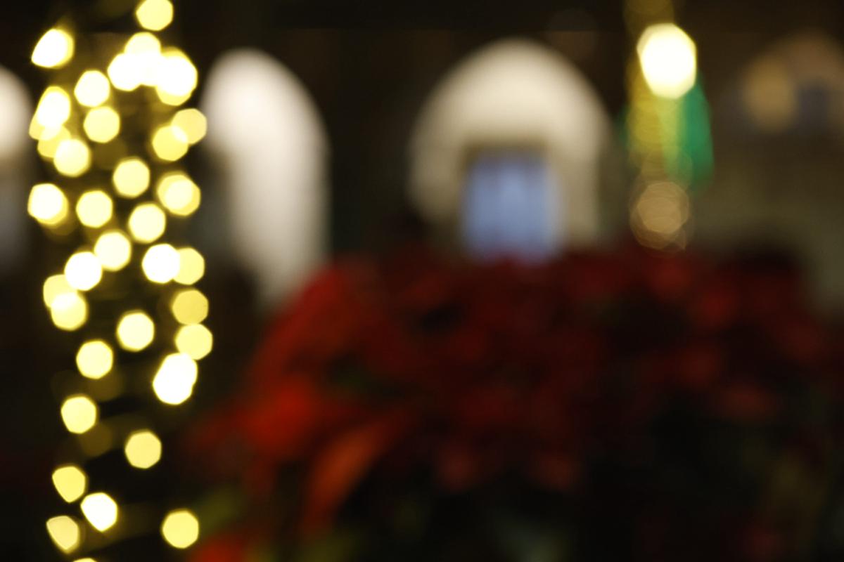 bokeh vol 3 – muestra 93