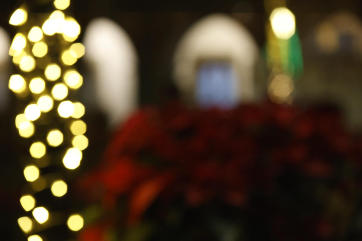 bokeh vol 3 – muestra 94