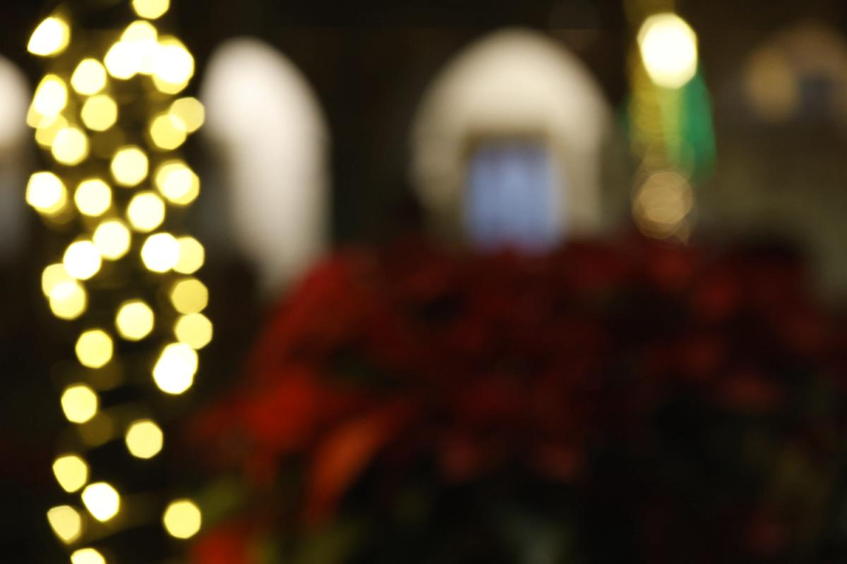 bokeh vol 3 – muestra 95